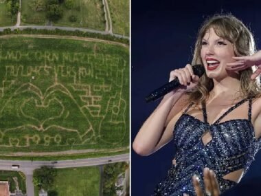 Taylor Swift fans flock to fall festival with a concert and eight-acre tribute to the star (and it's far cheaper than the Eras Tour)